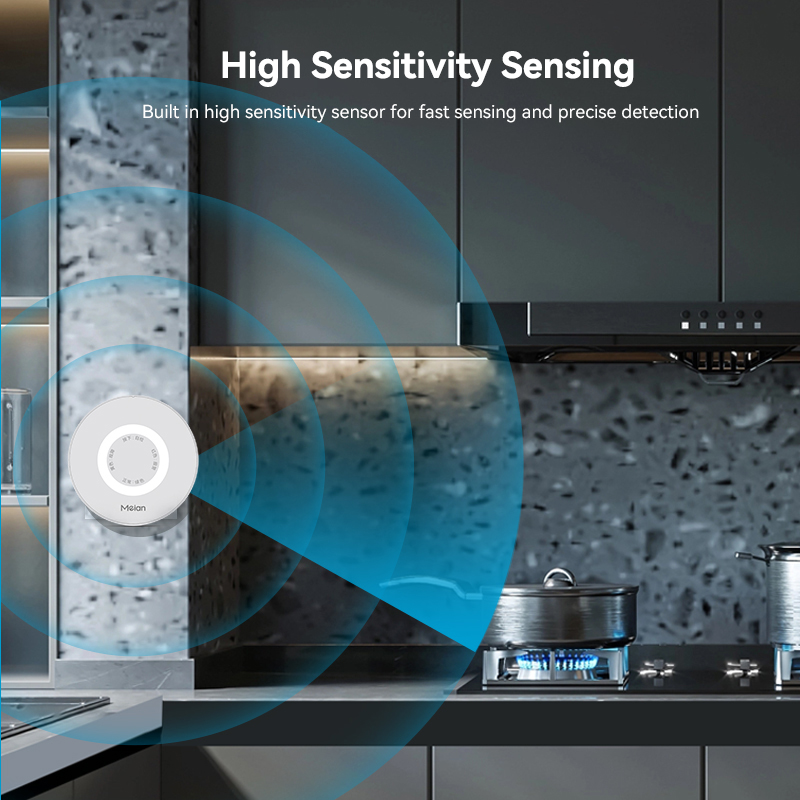 Meian Zigbee-Detector de Gas T - Home Improvement Kitchen reseña y precio