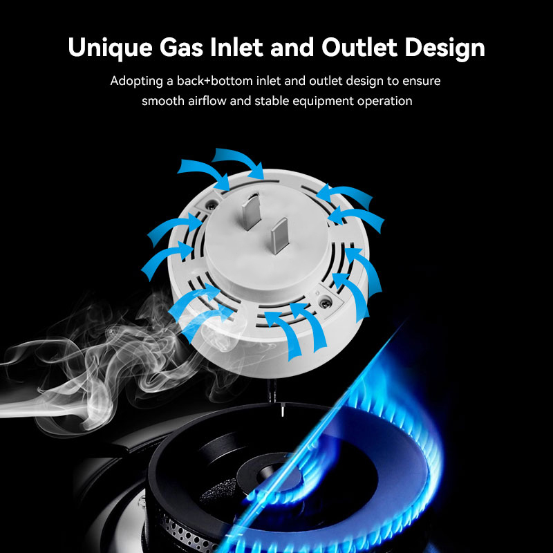 Meian Zigbee-Detector de Gas T - Home Improvement Kitchen reseña y precio